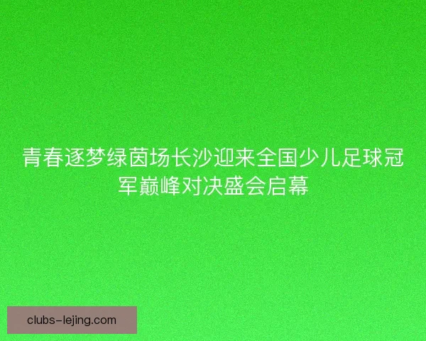 青春逐梦绿茵场长沙迎来全国少儿足球冠军巅峰对决盛会启幕